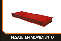 Sistema de pesaje en movimiento para cintas transportadoras y procesos automáticos